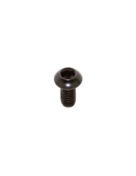 Brake Disc Rotor Bolt M5x10mm Black.